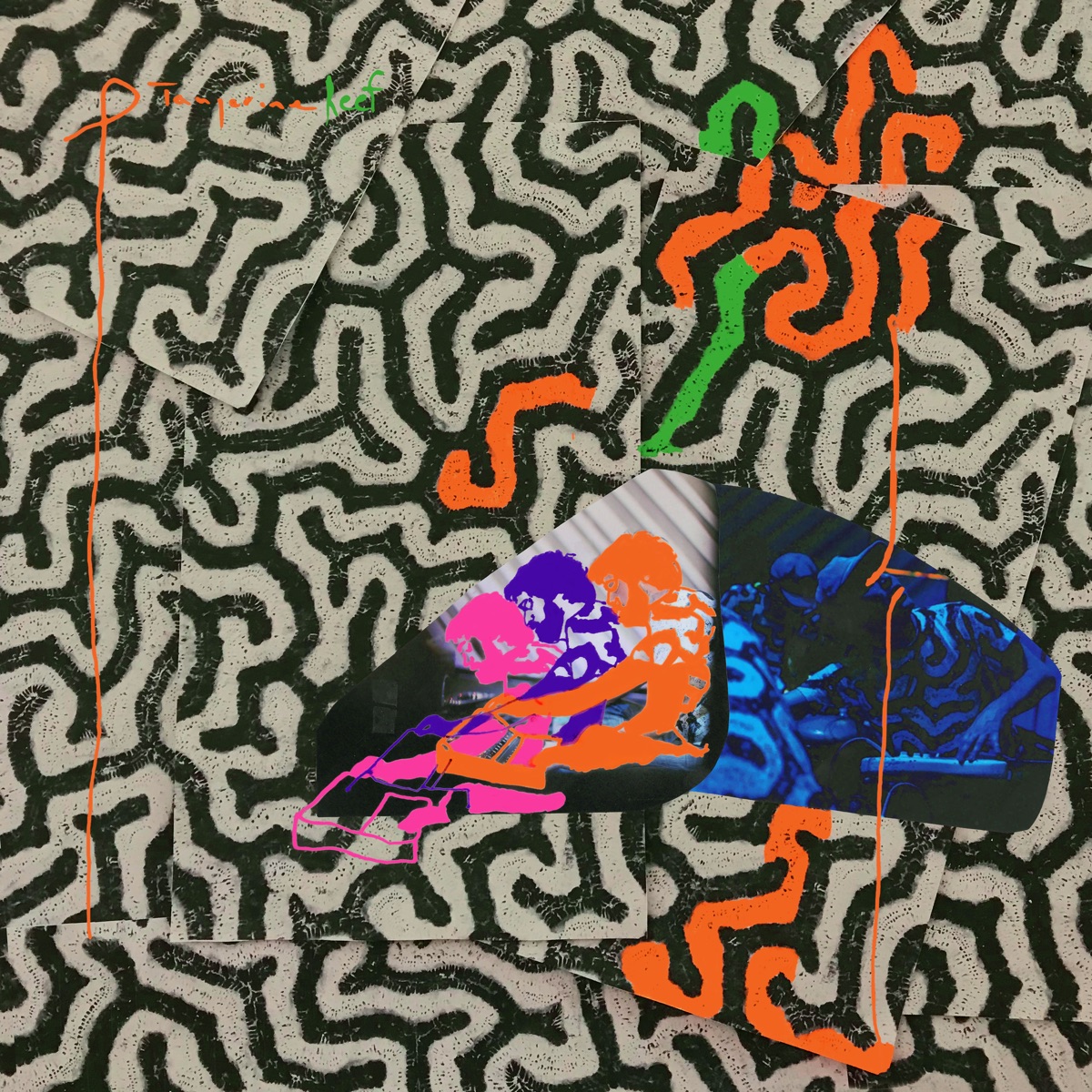 Tangerine Reef by Animal Collective