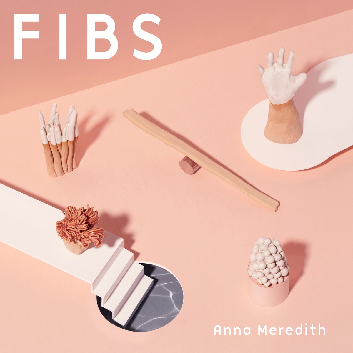 FIBS by Anna Meredith