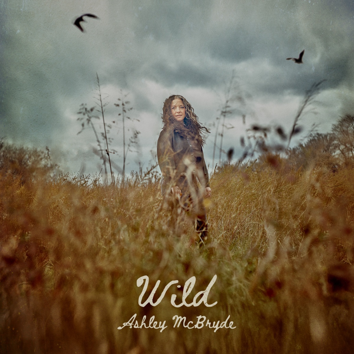 Wild by Ashley McBryde