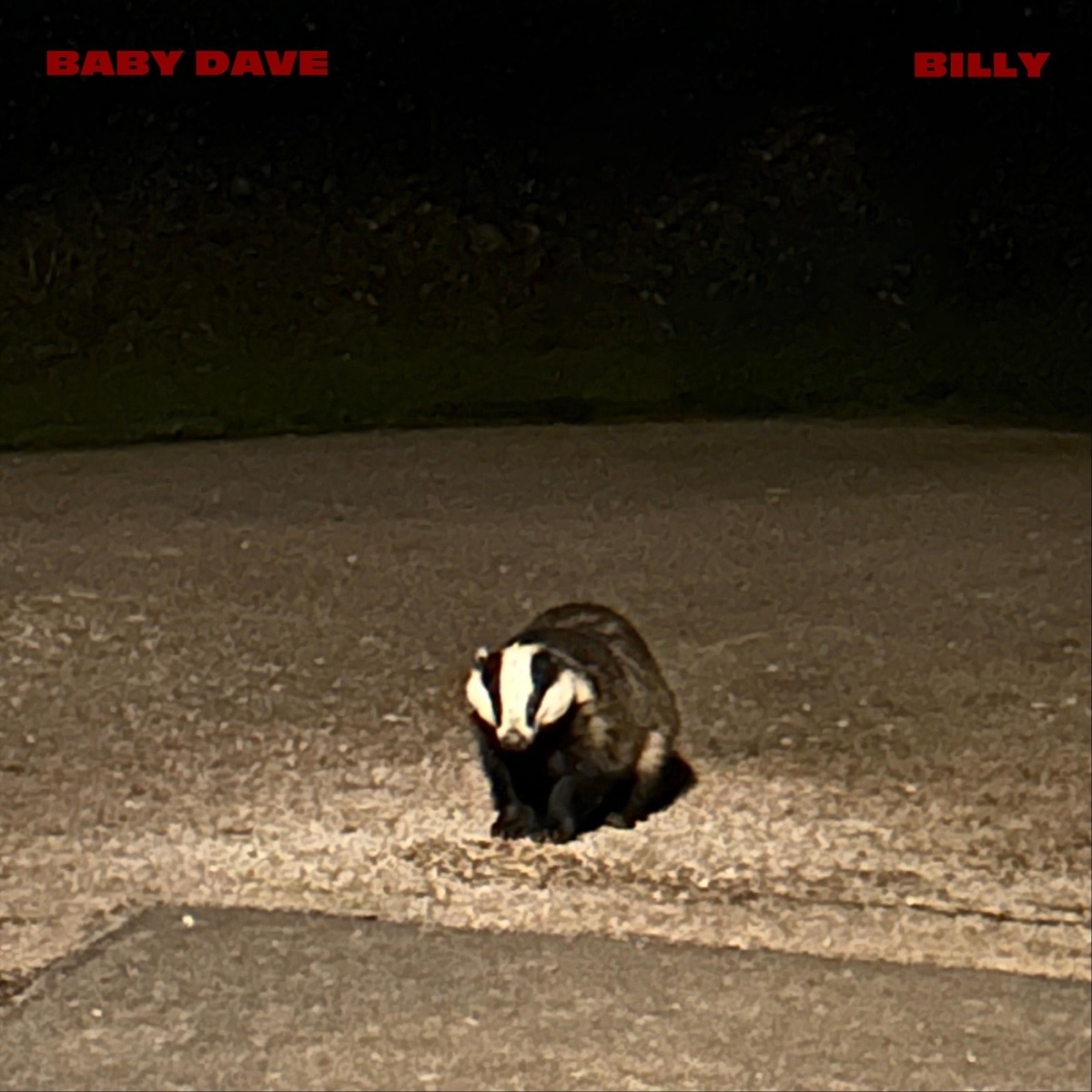 Billy by Baby Dave