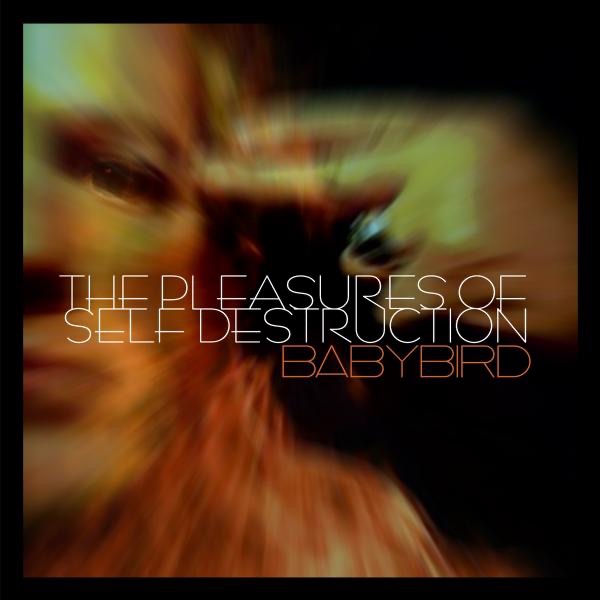 The Pleasures of Self Destruction by Babybird