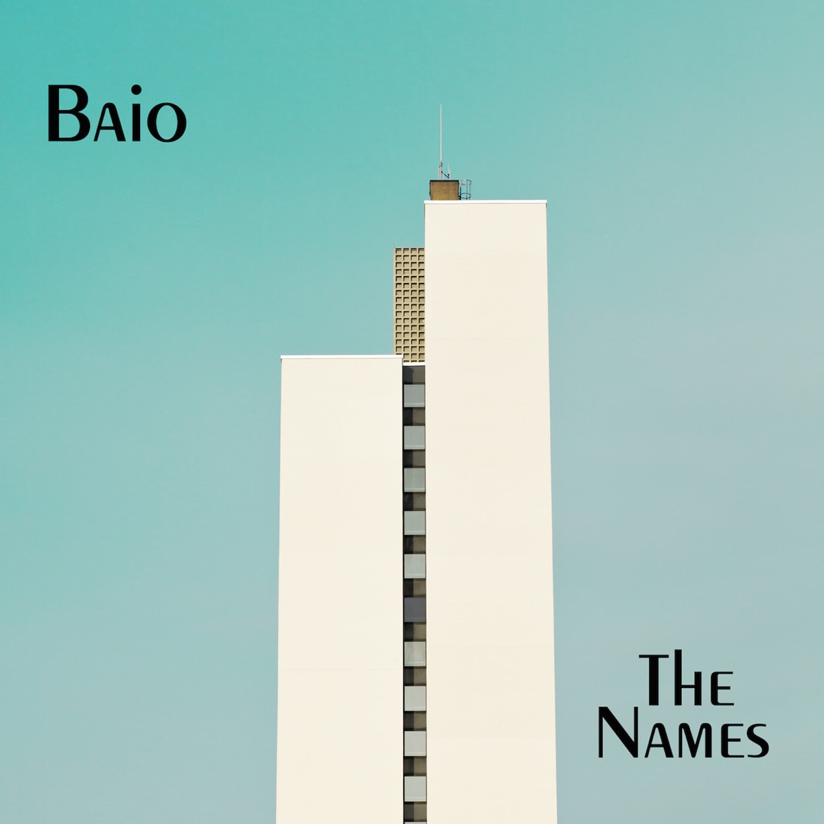 The Names by Baio