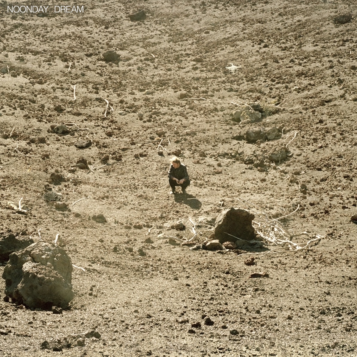 Noonday Dream by Ben Howard