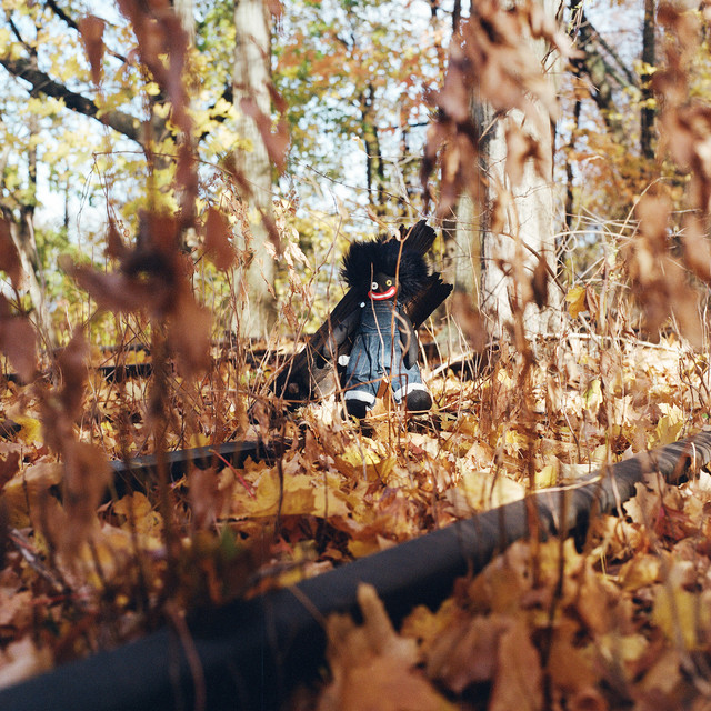 GOLLIWOG by billy woods