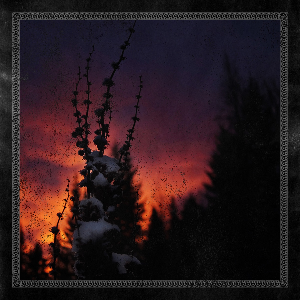 Nocturnal Womb - Single by Blackbraid