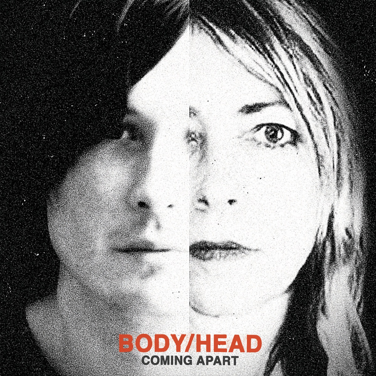 Coming Apart by Body/Head