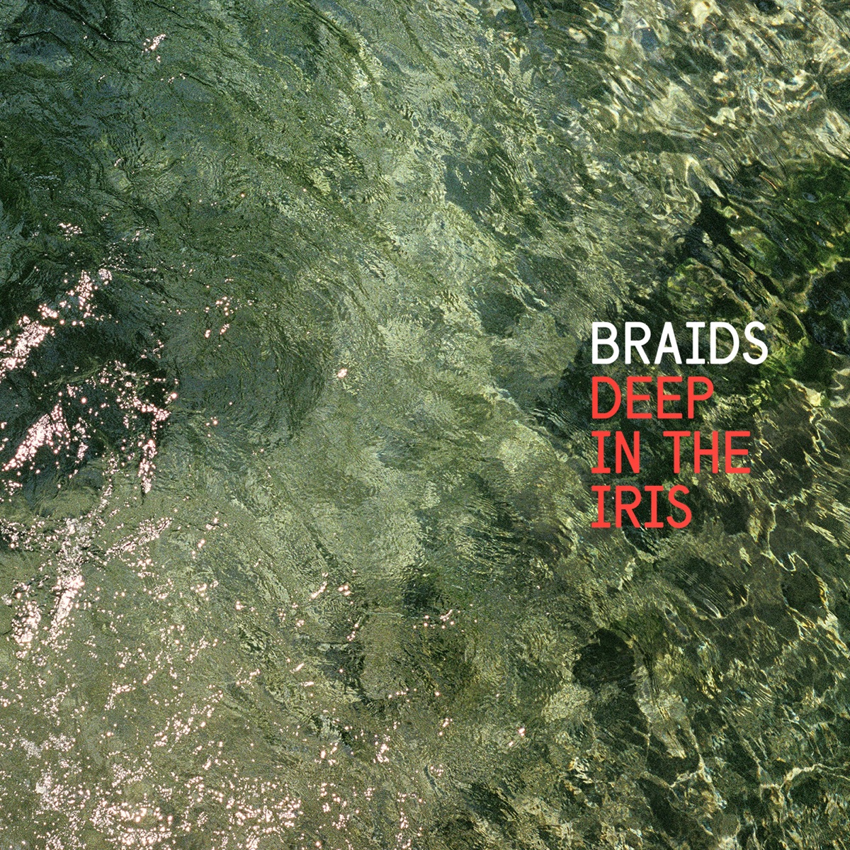 Deep In the Iris by Braids