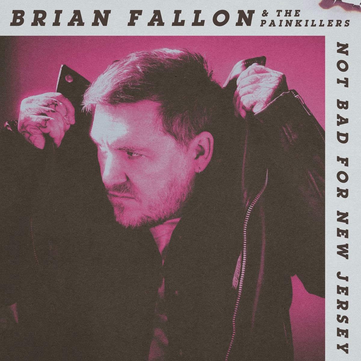 Not Bad for New Jersey by Brian Fallon
