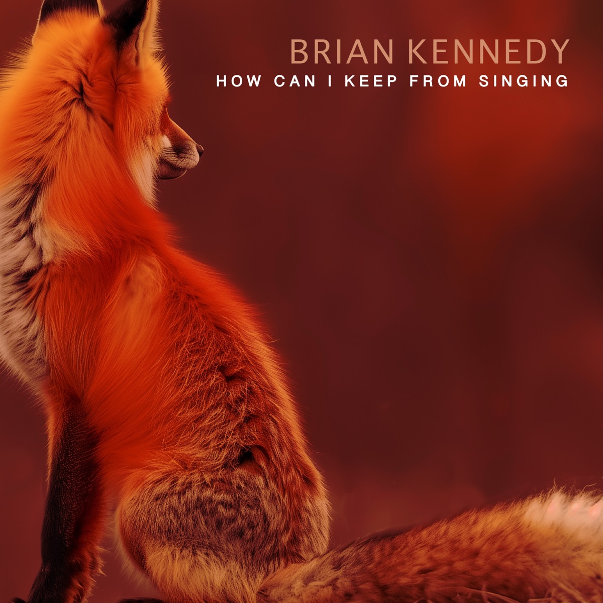 How Can I Keep From Singing by Brian Kennedy