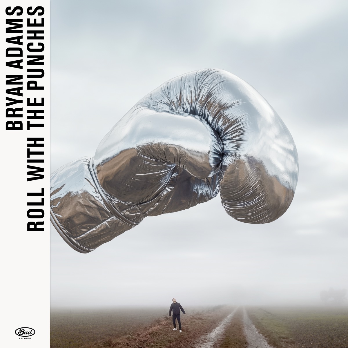 Roll With The Punches by Bryan Adams