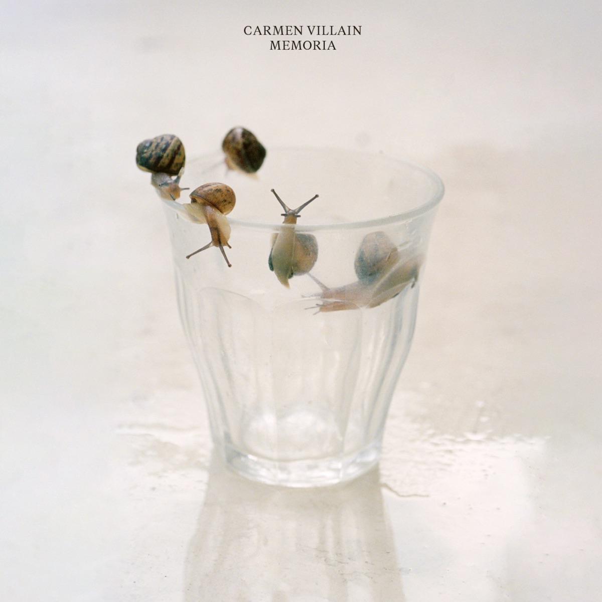 Memoria by Carmen Villain