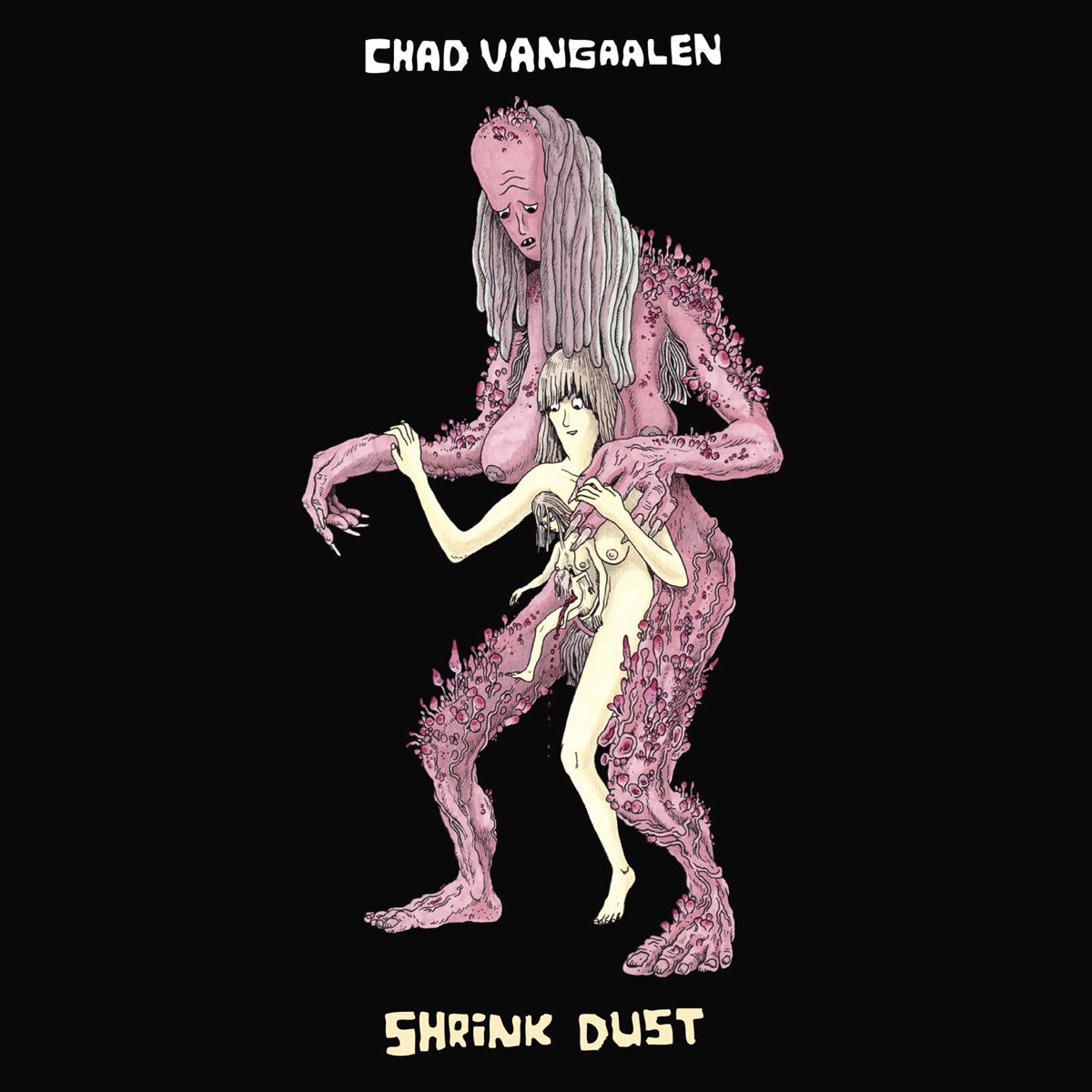 Shrink Dust by Chad VanGaalen