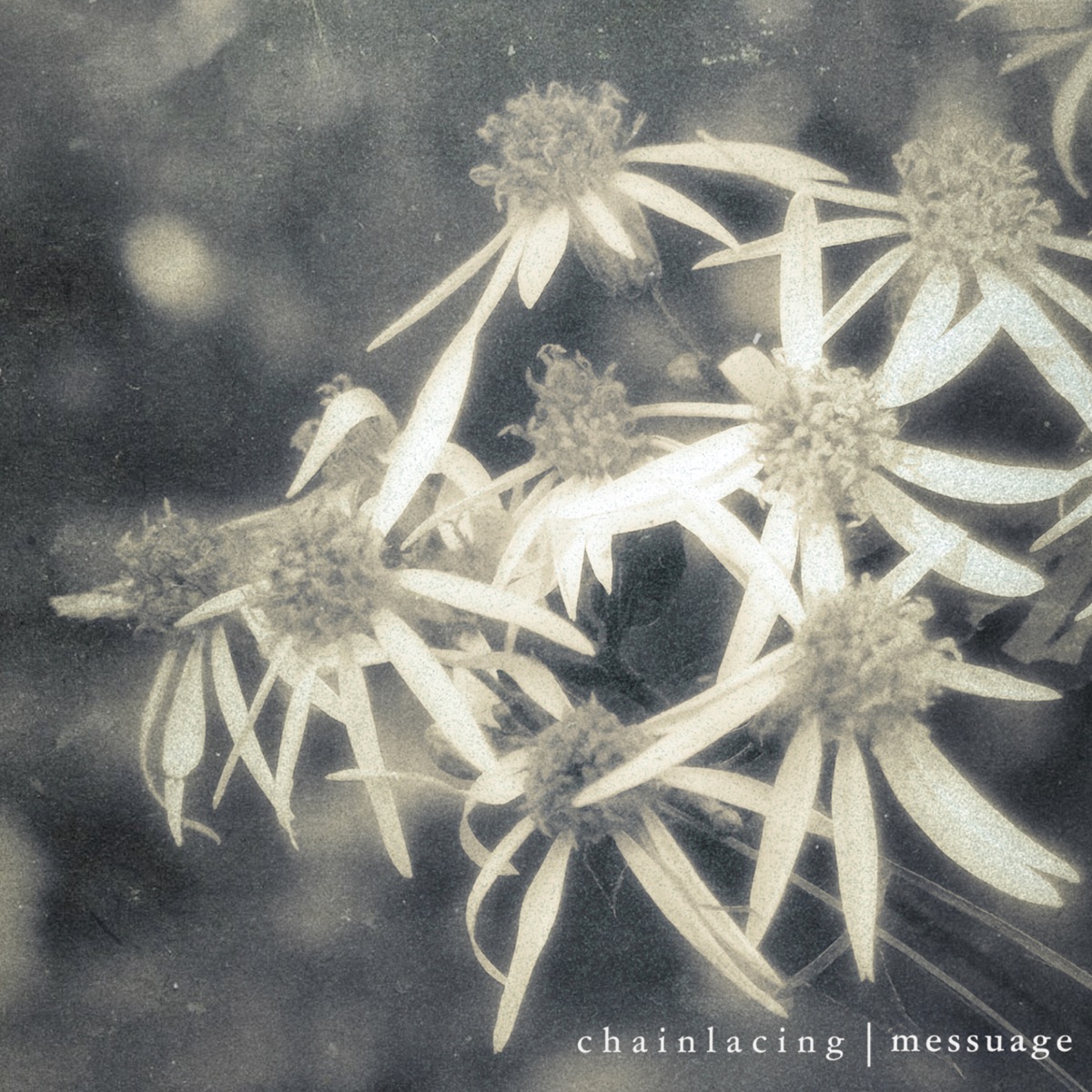 Messuage by Chainlacing