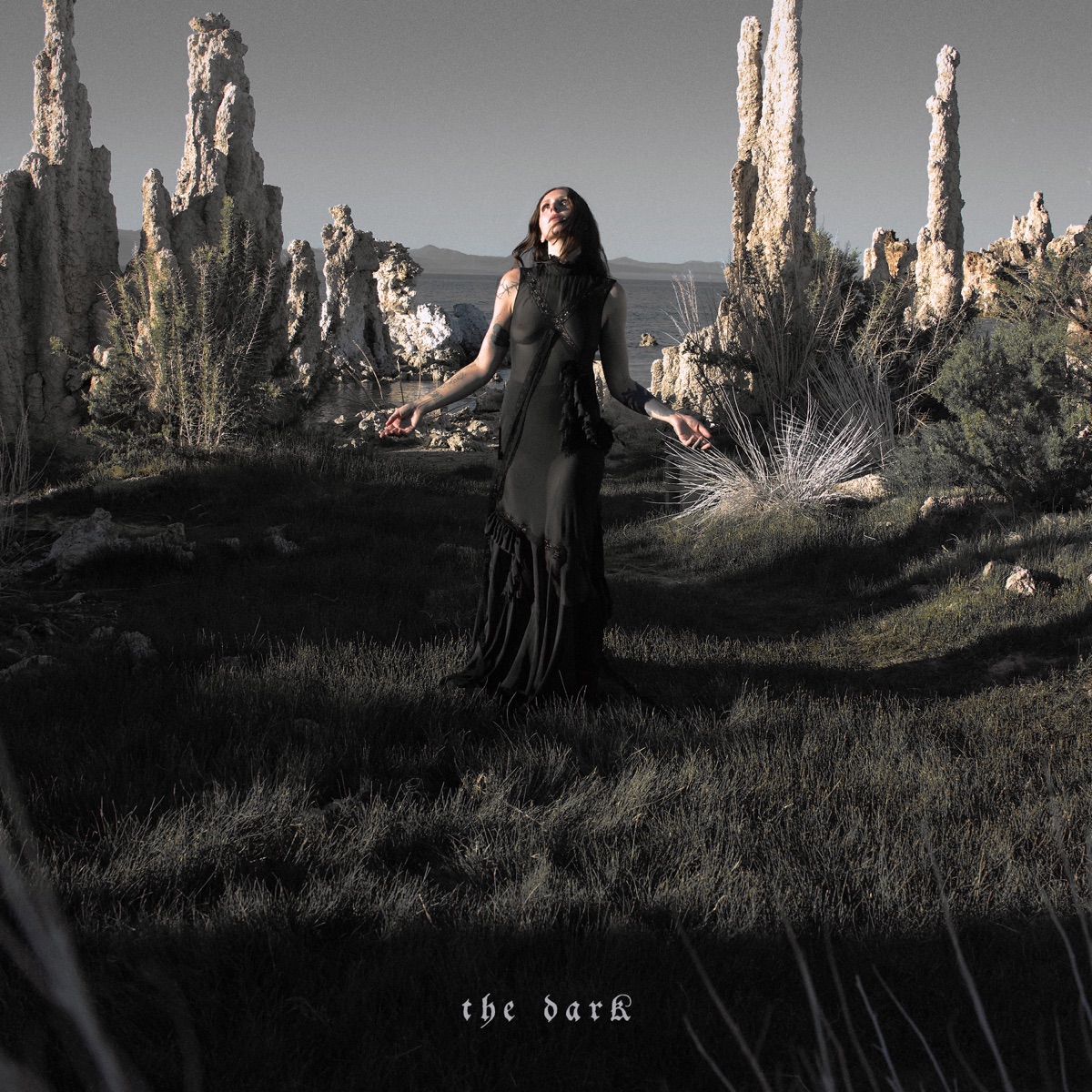 The Dark by Chelsea Wolfe