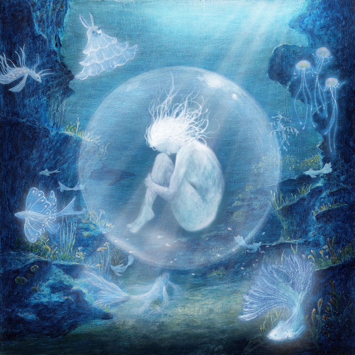 oyster by chloe moriondo