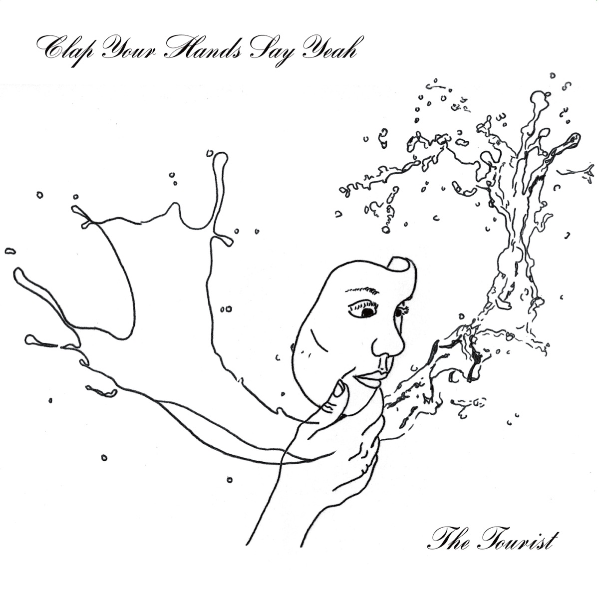 The Tourist by Clap Your Hands Say Yeah