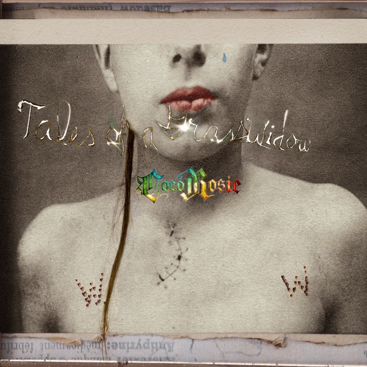Tales of a Grasswidow by CocoRosie