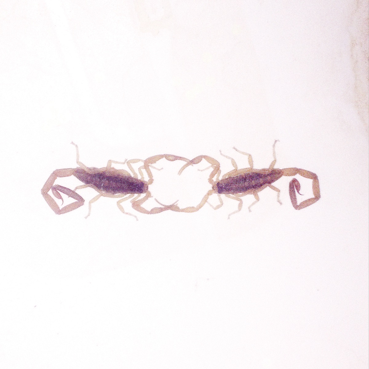 Wabi-Sabi by Cross Record
