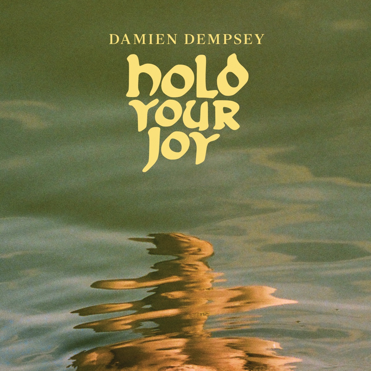 Hold Your Joy by Damien Dempsey