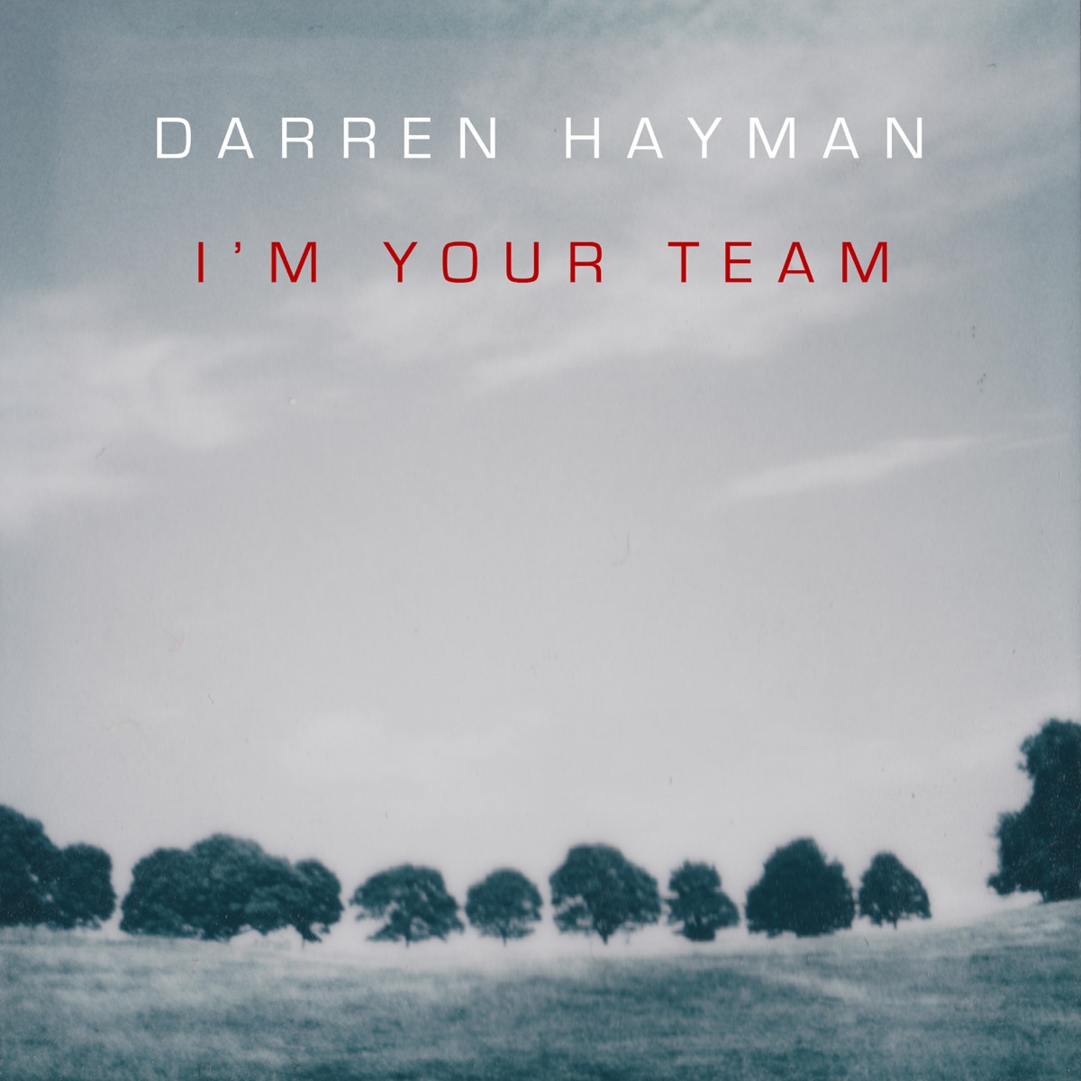 I'm Your Team by Darren Hayman