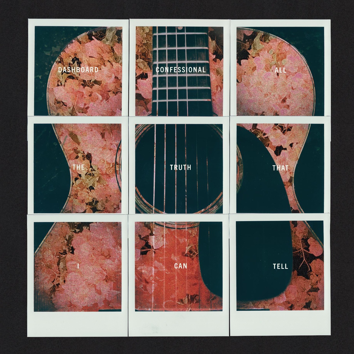 All the Truth That I Can Tell by Dashboard Confessional