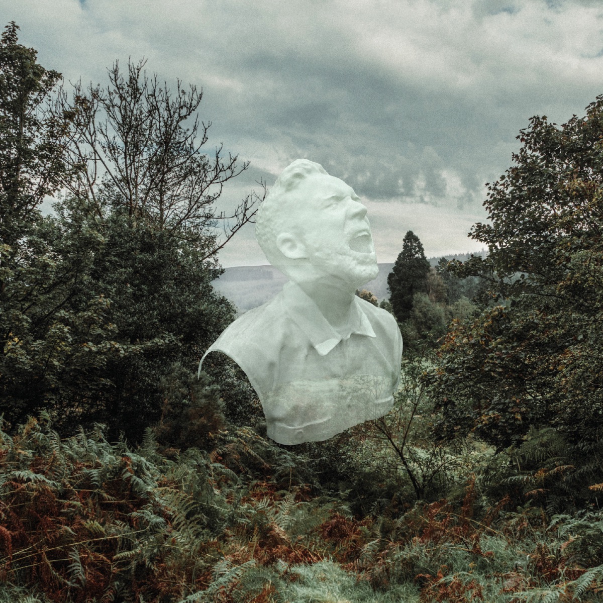 The Garden by David C Clements