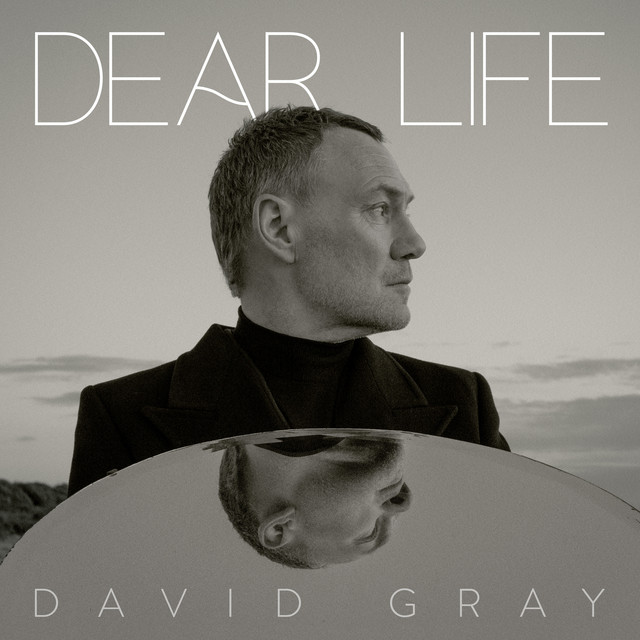 Dear Life by David Gray
