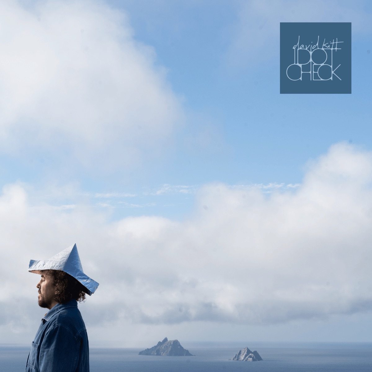 Idiot Check by David Kitt