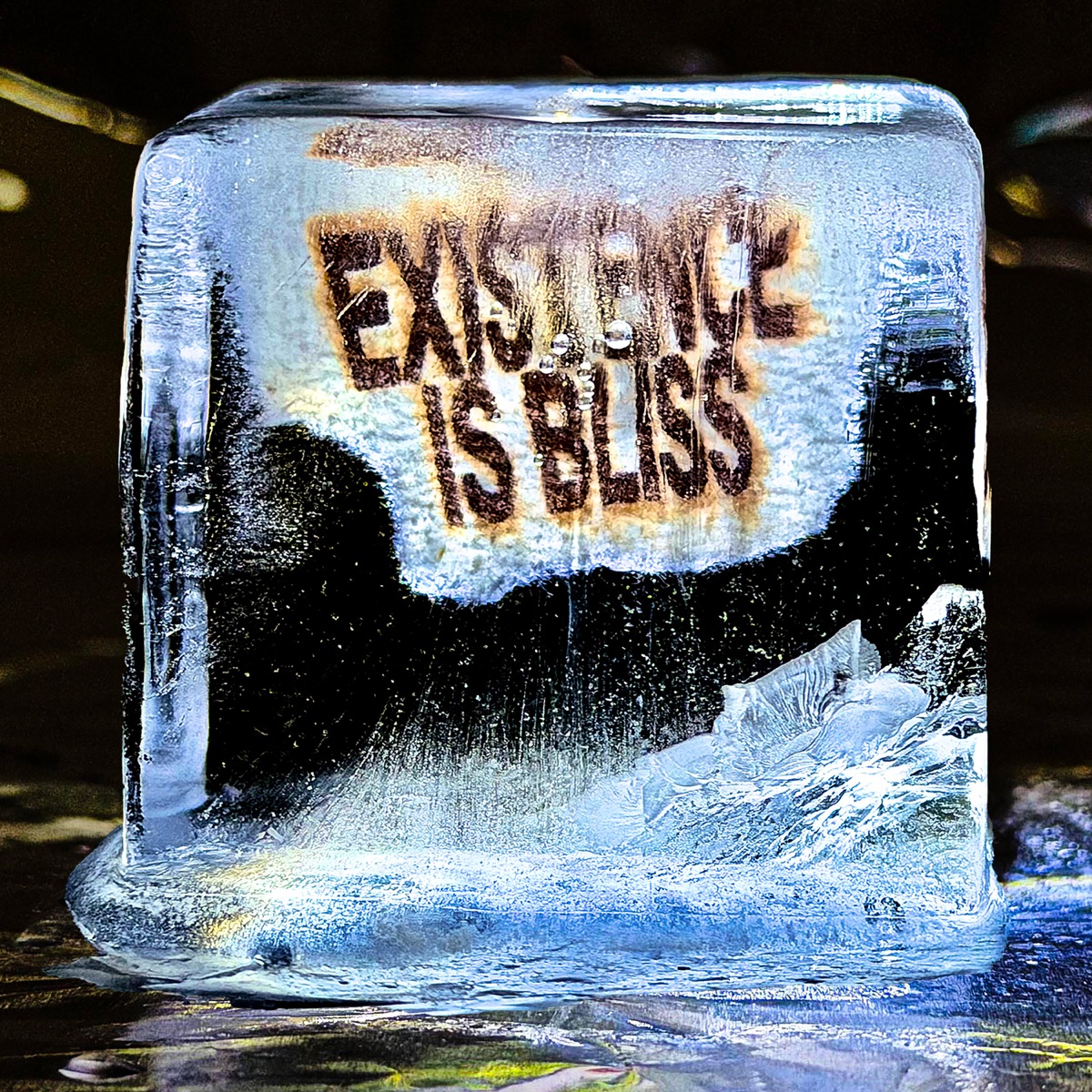 Existence is Bliss by DEADLETTER