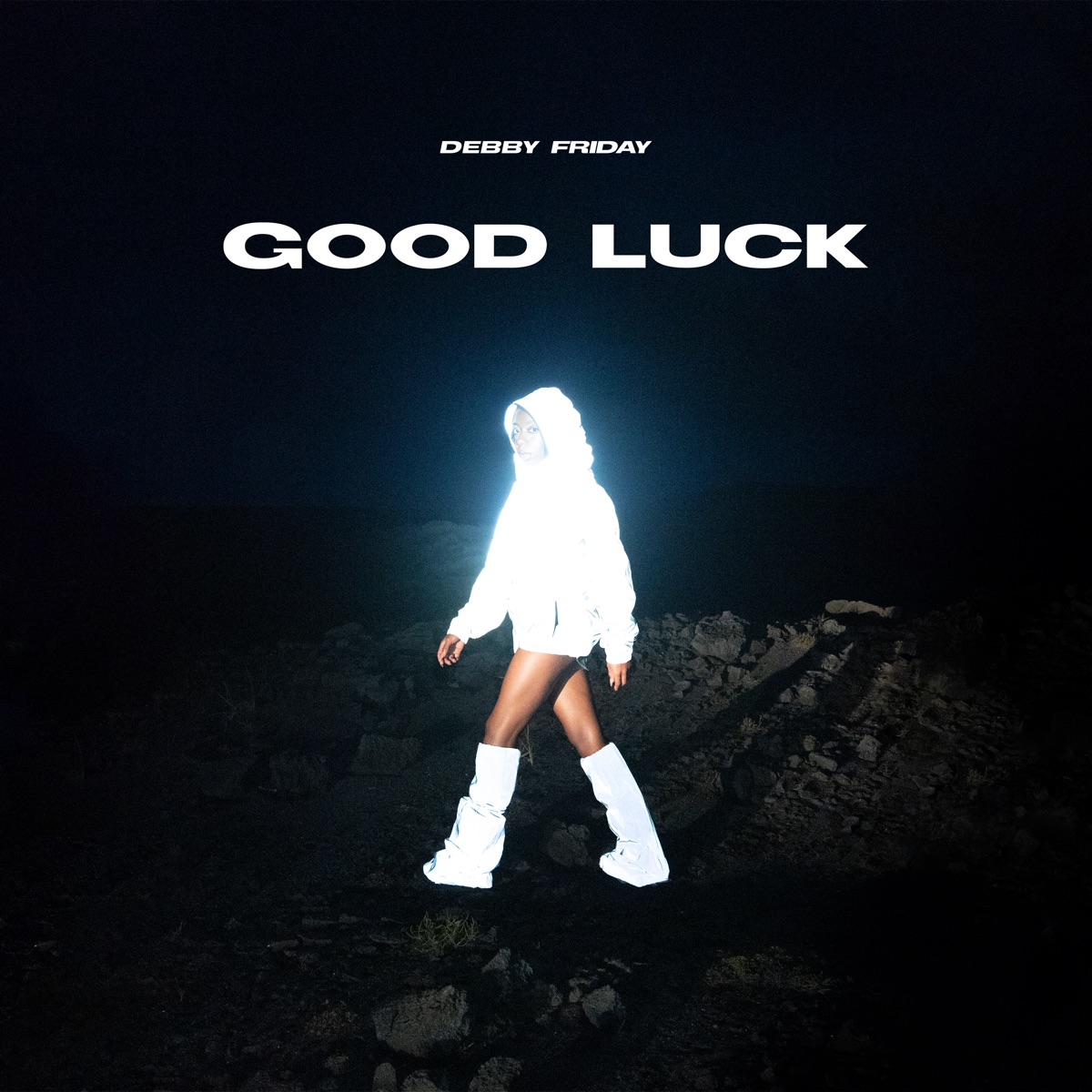 Good Luck by Debby Friday