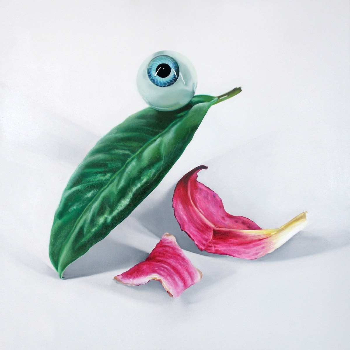 Petals Have Fallen by DELS