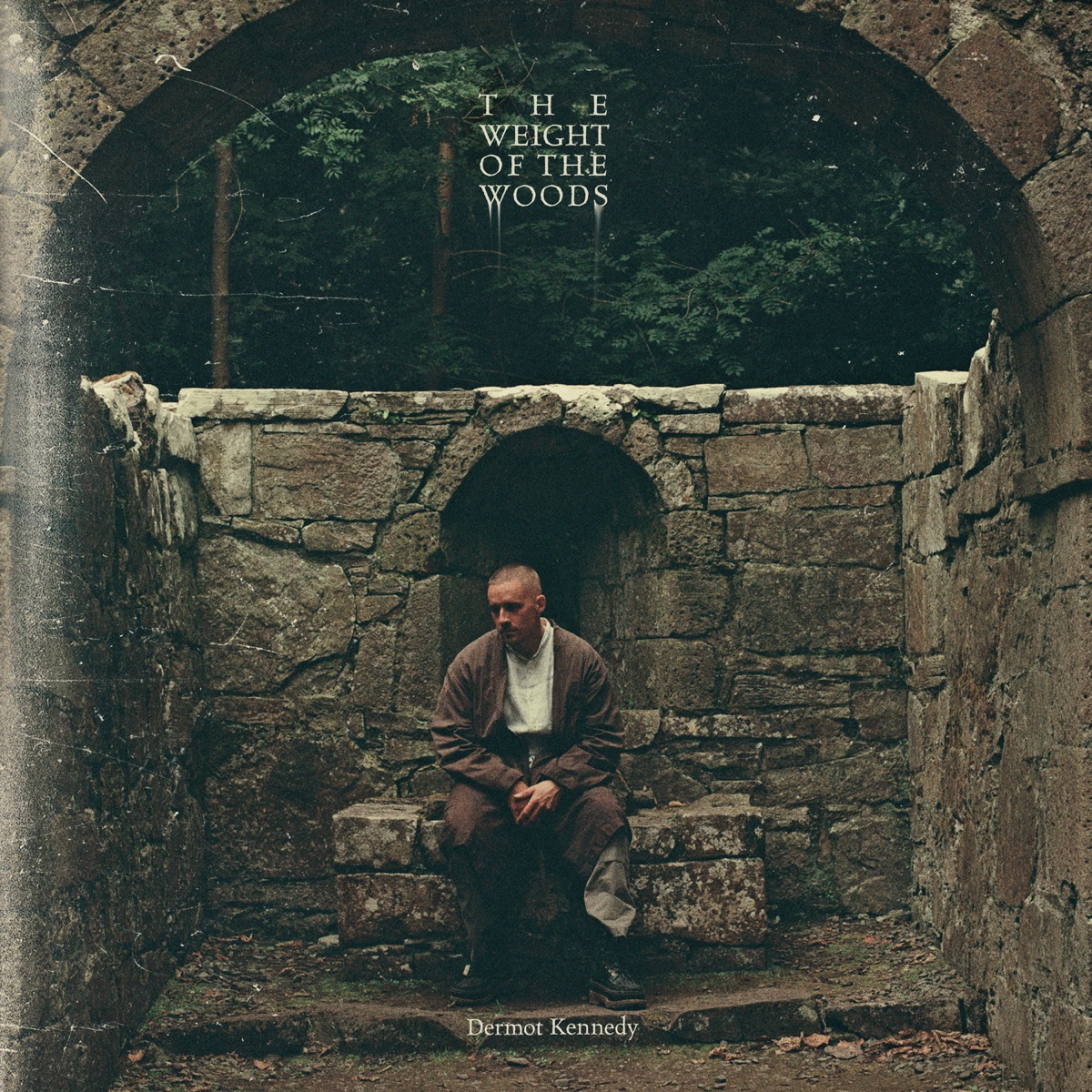 The Weight of the Woods by Dermot Kennedy
