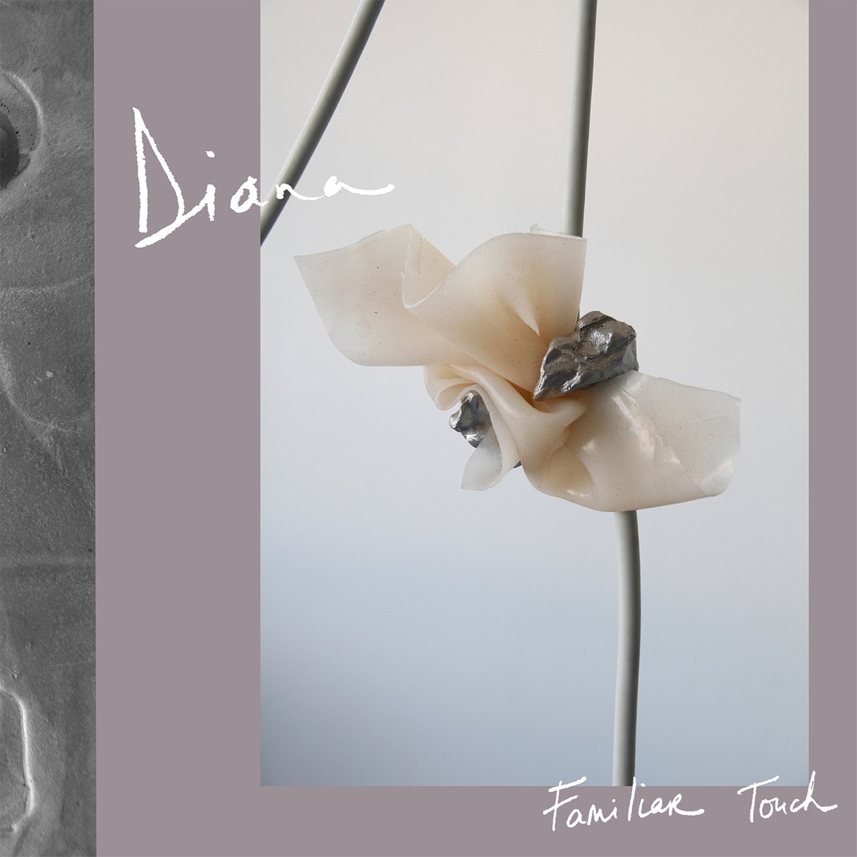 Familiar Touch by Diana