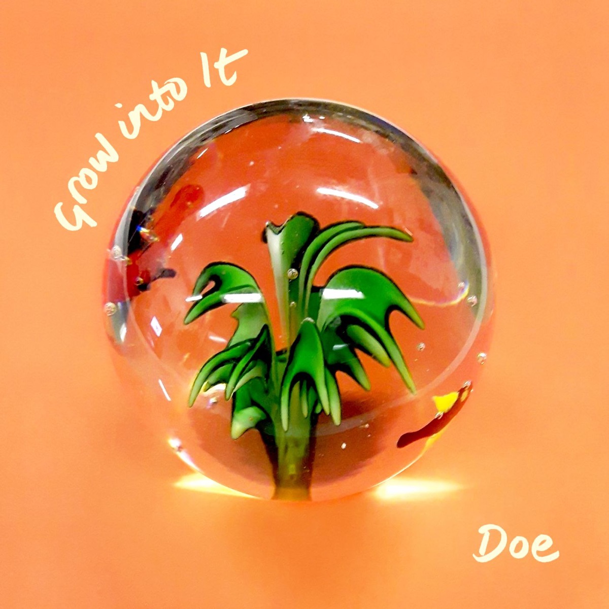 Grow Into It by Doe