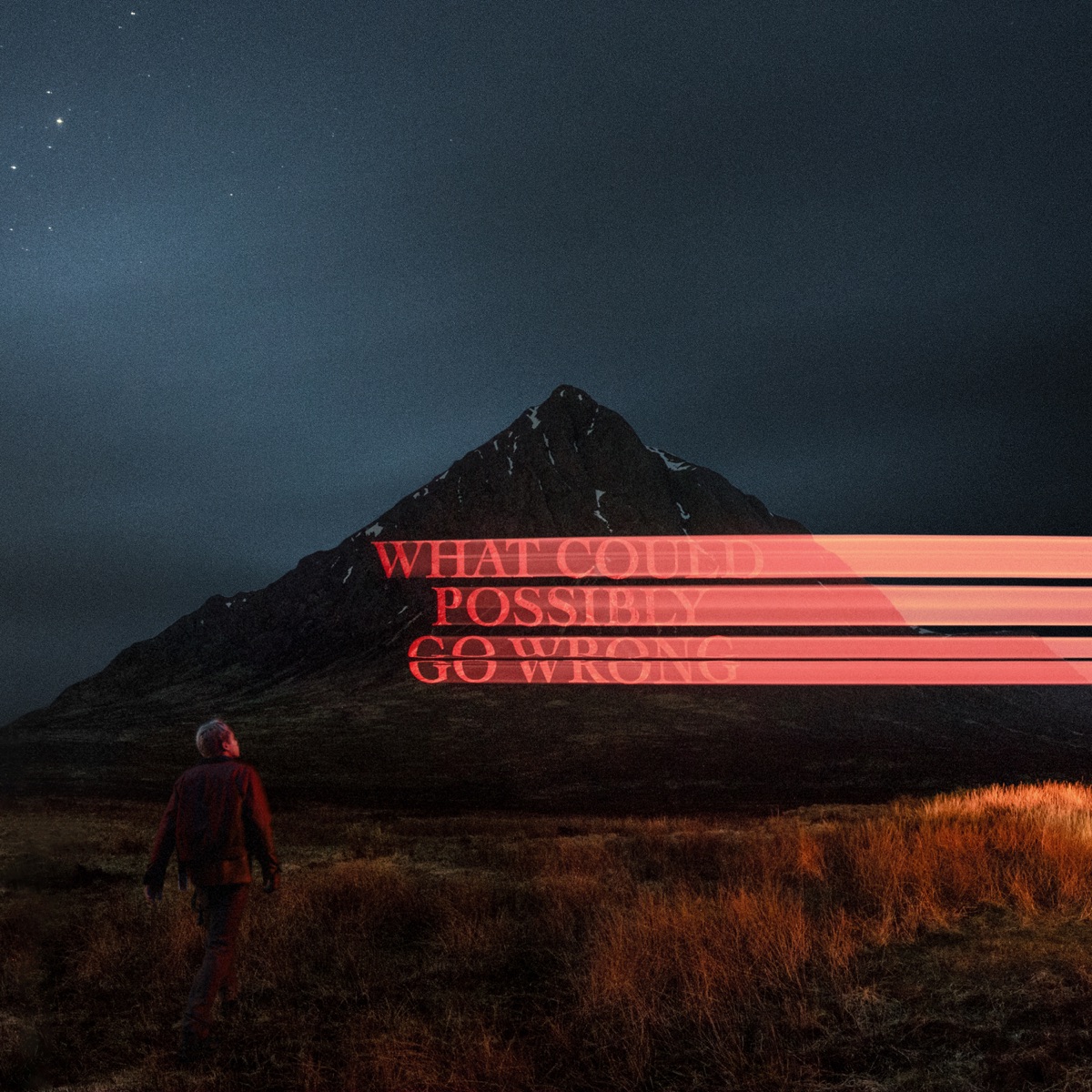 What Could Possibly Go Wrong by Dominic Fike