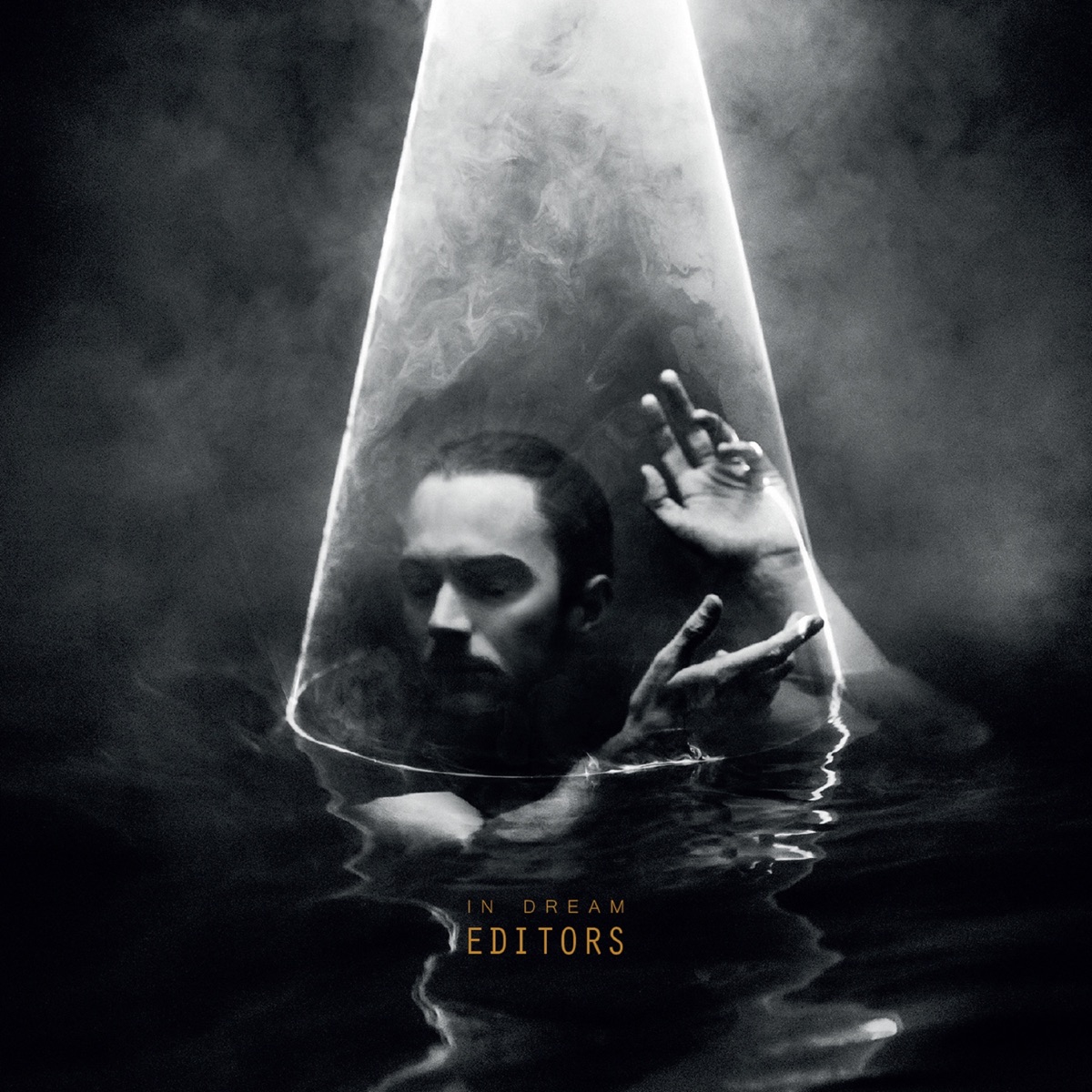 IN DREAM by Editors