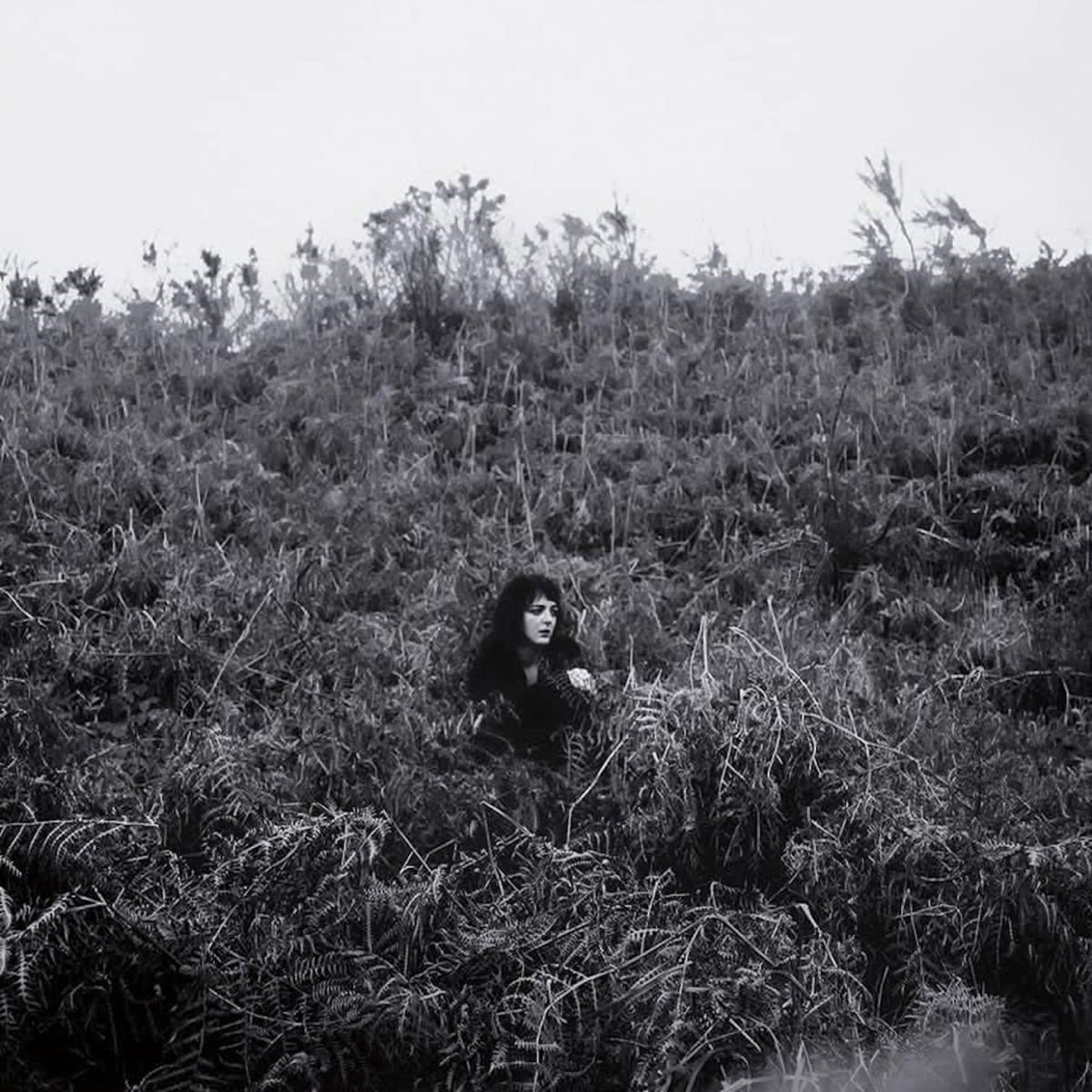 Pyrrhic by Elaine Malone