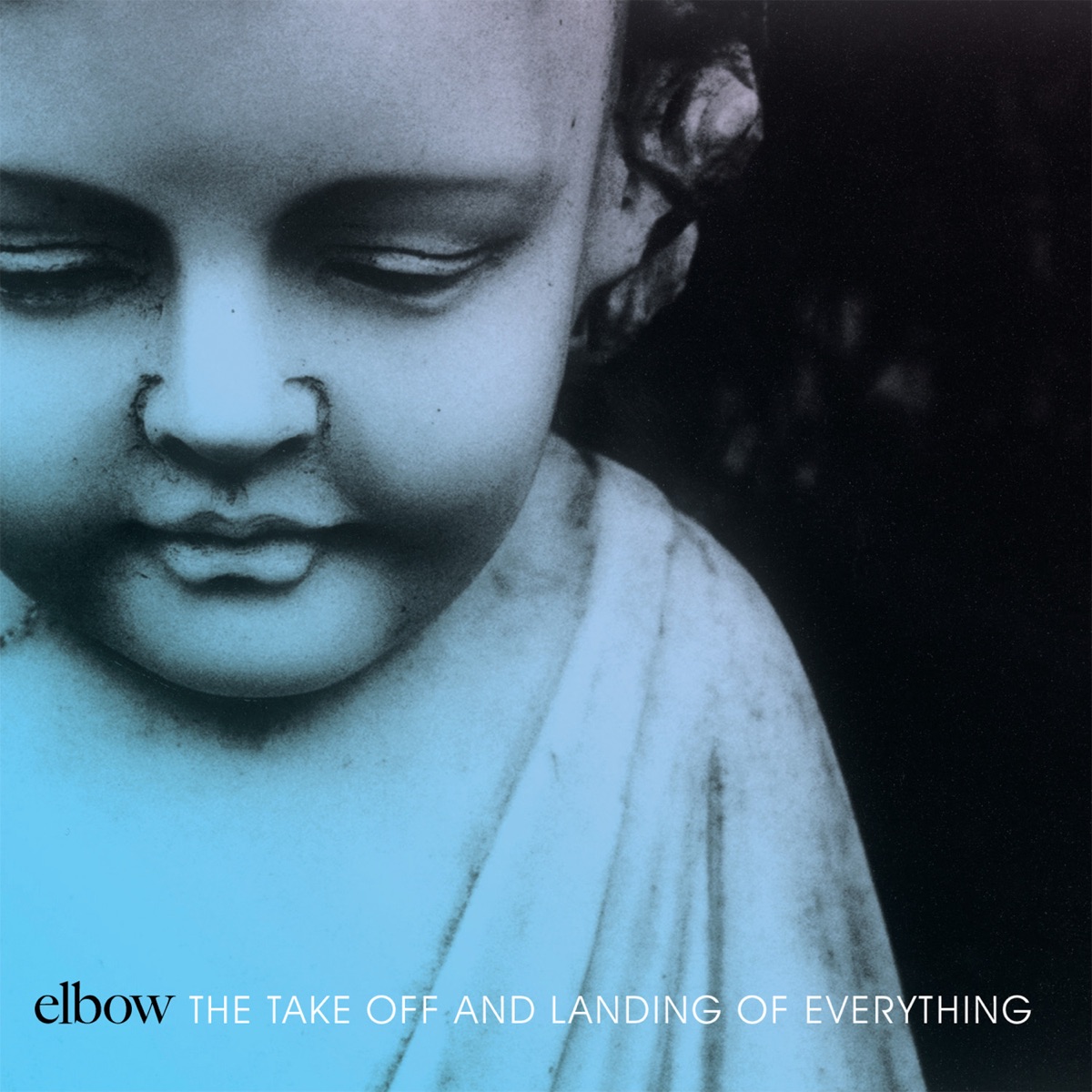 The Take Off and Landing of Everything by Elbow