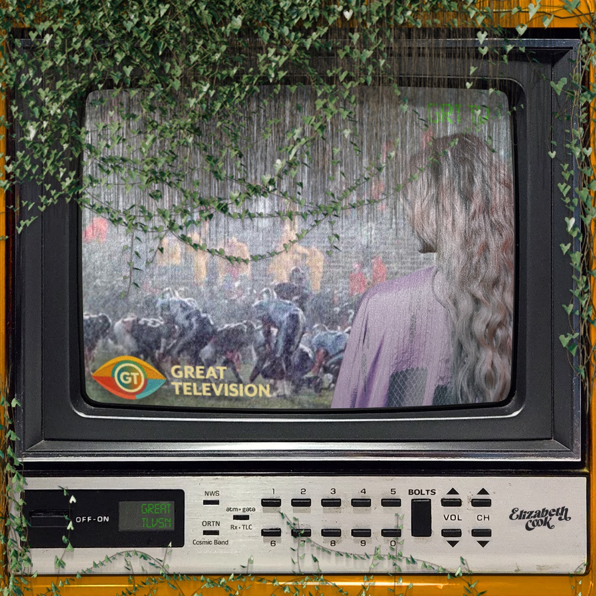 Great Television by Elizabeth Cook