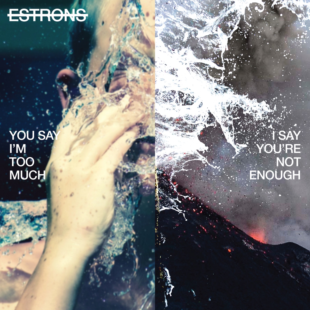 You Say I'm Too Much, I Say You're Not Enough by Estrons
