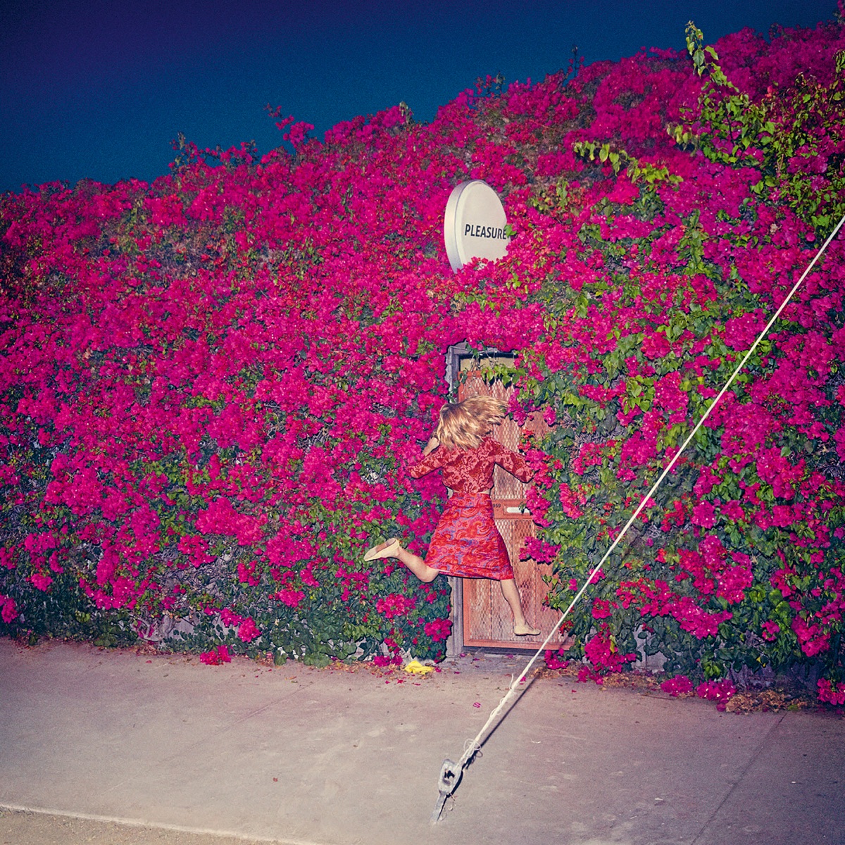 Pleasure by Feist