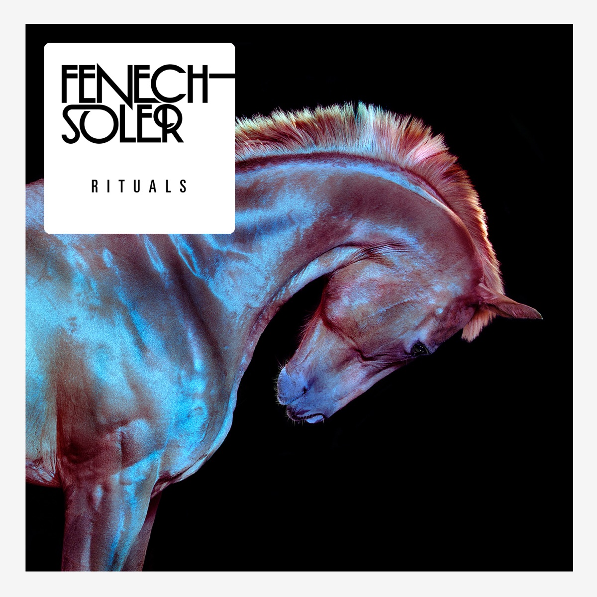 Rituals by Fenech-Soler