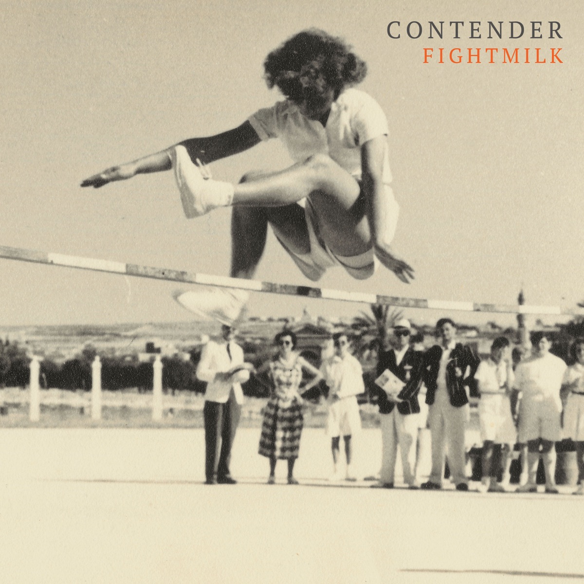 Contender by Fightmilk