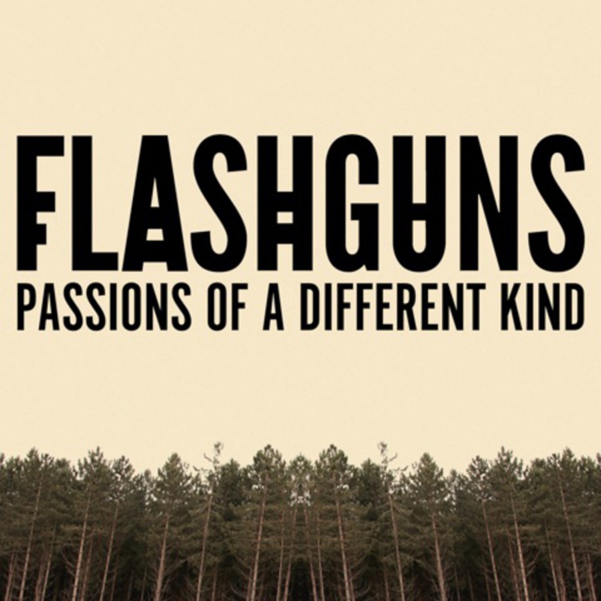 Passions of a Different Kind by Flashguns