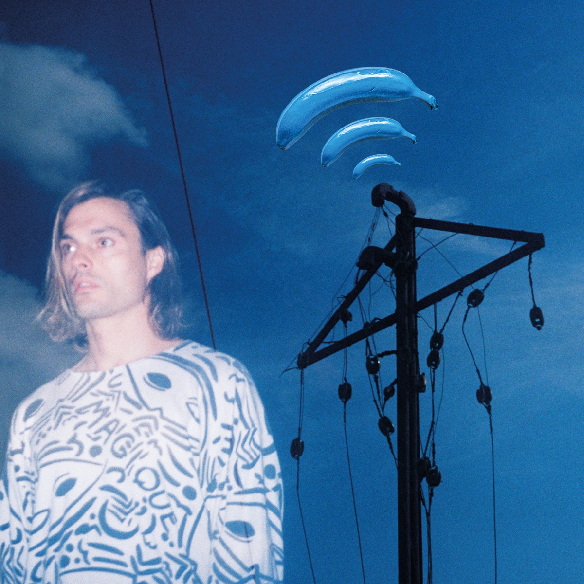 Banane Bleue by Frànçois & The Atlas Mountains
