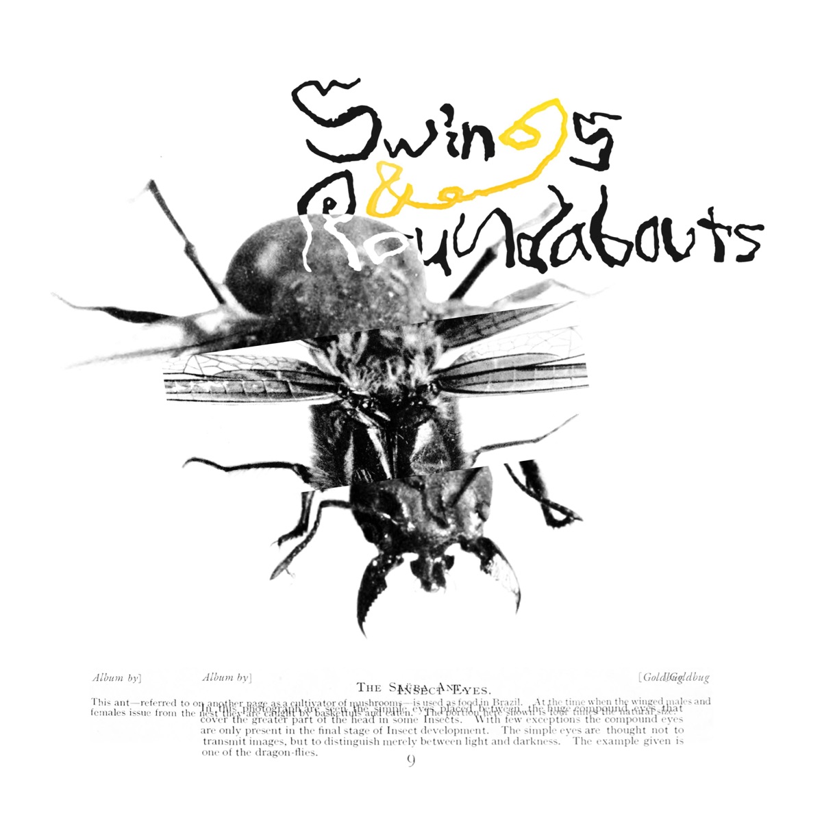 Swings & Roundabouts by Goldbug