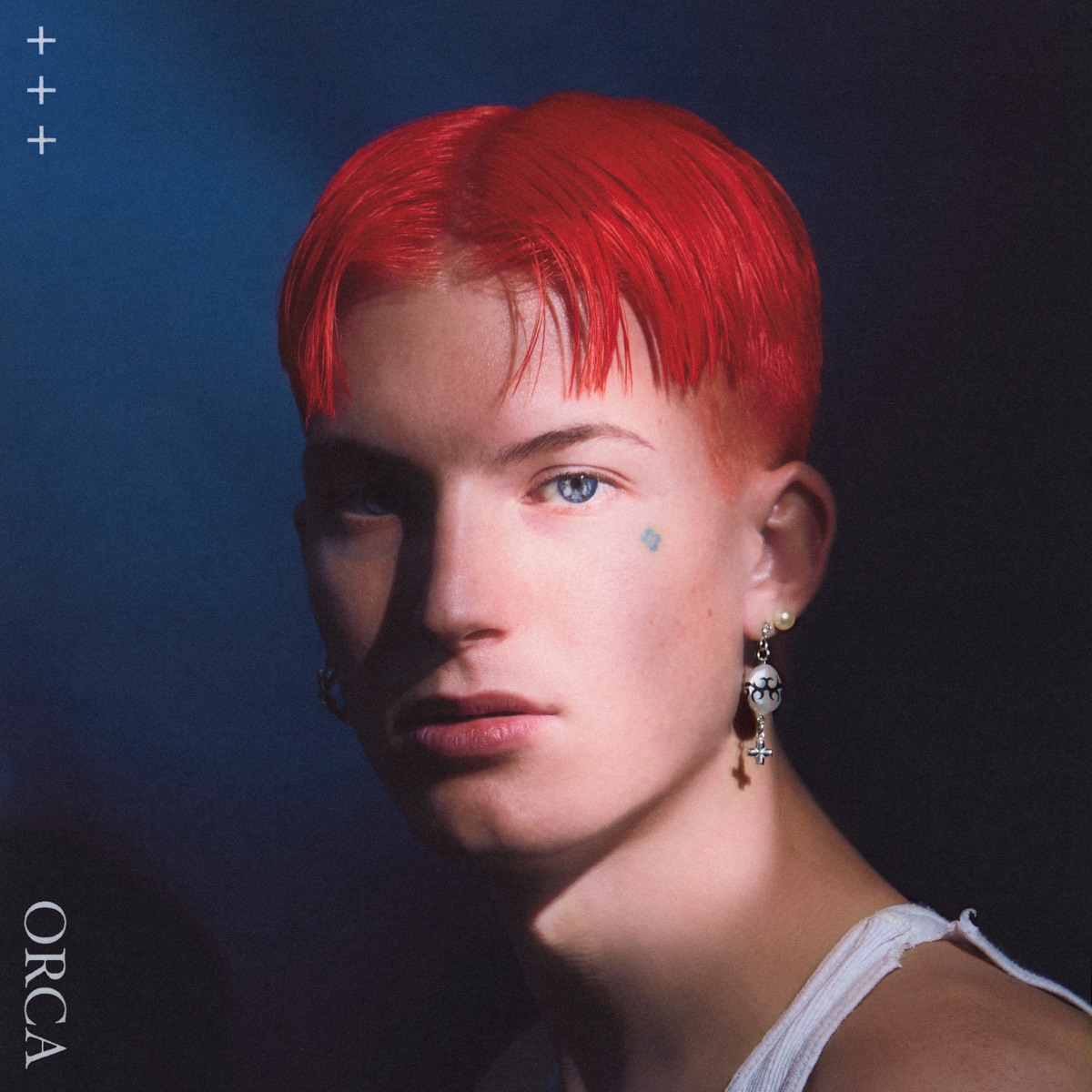 Orca by Gus Dapperton