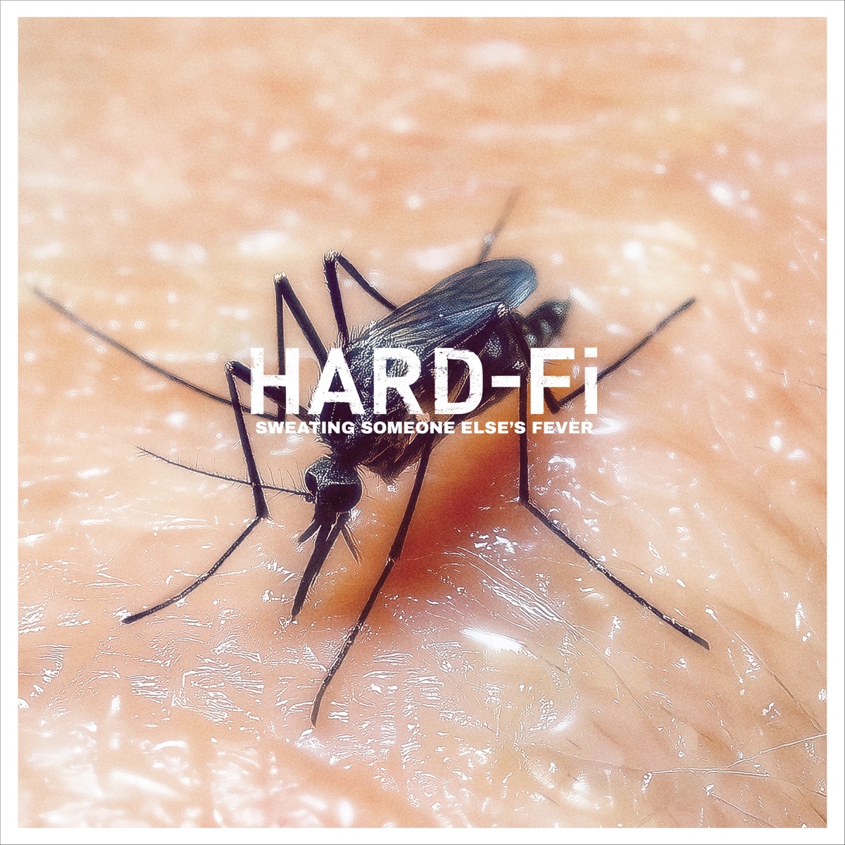 Sweating Someone Else's Fever by Hard-Fi