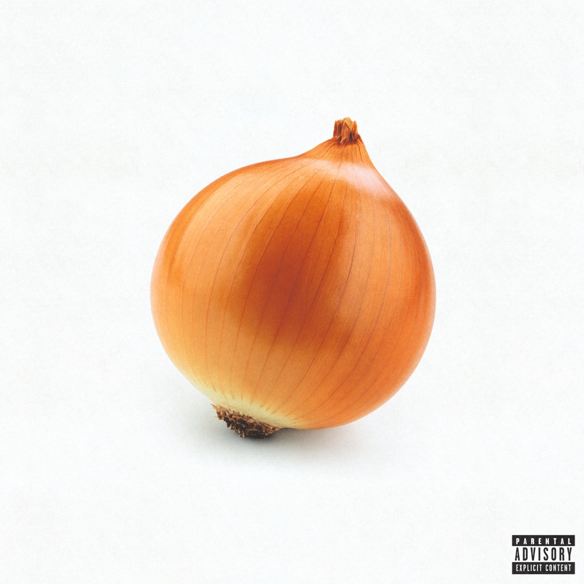 onion by hard life