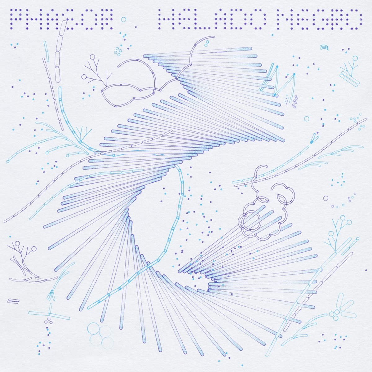 PHASOR by Helado Negro